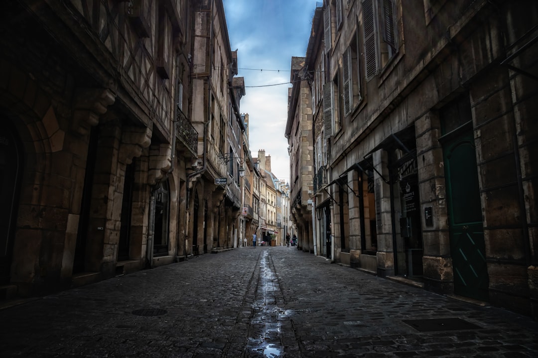 ville de Dijon